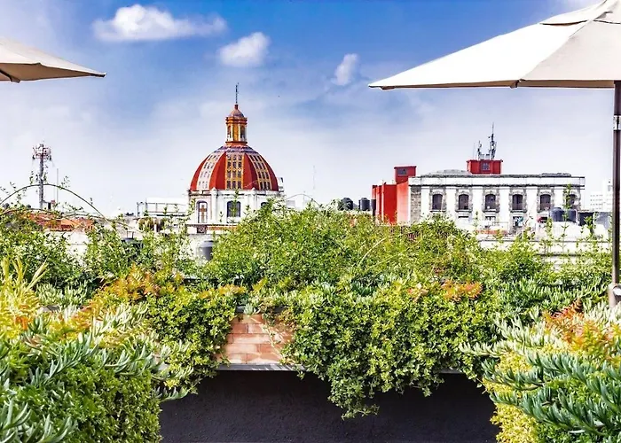 Cálido Loft A Pasos Del Zócalo Disfrútalo Apartamento *